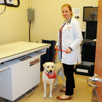 X-ray room at GSiVS with Dr. Meeking and her dog, Maple