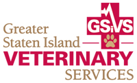 GSiVS Logo