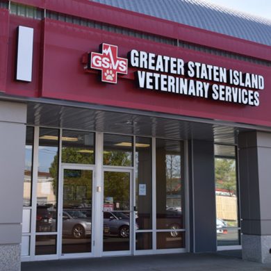 Exterior of Greater Staten Island Veterinary Services