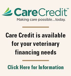 Care Credit