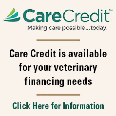 Care Credit