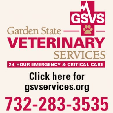 GSVServices, Iselin, NJ