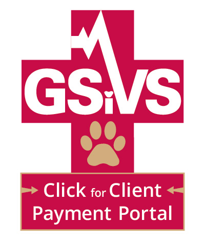 ““Client