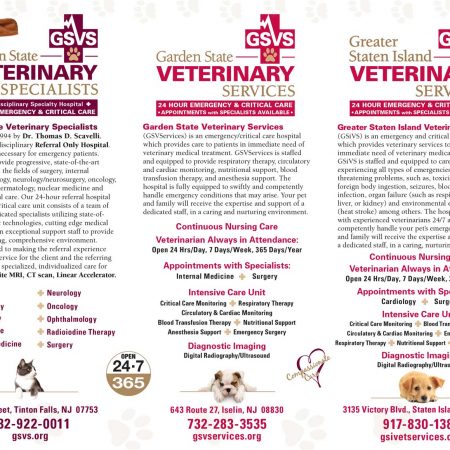 24 hour vet staten island hot sale victory blvd