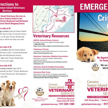 Emergency/Critical Care Brochure_Outside