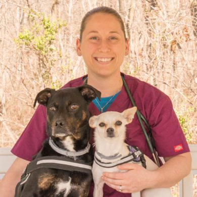 Allison Rohde Newgent, DVM Medical Director