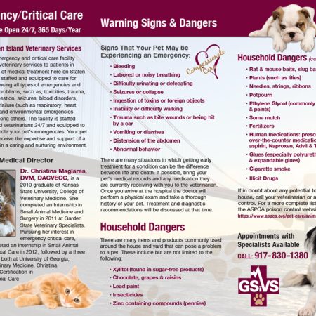 Emergency/Critical Care Brochure Inside
