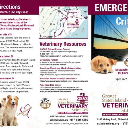 Emergency/Critical Care Brochure Outside